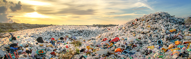 Trash Mound
